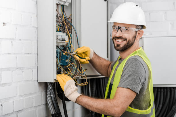 Best Electric Panel Repair  in Cotter, AR